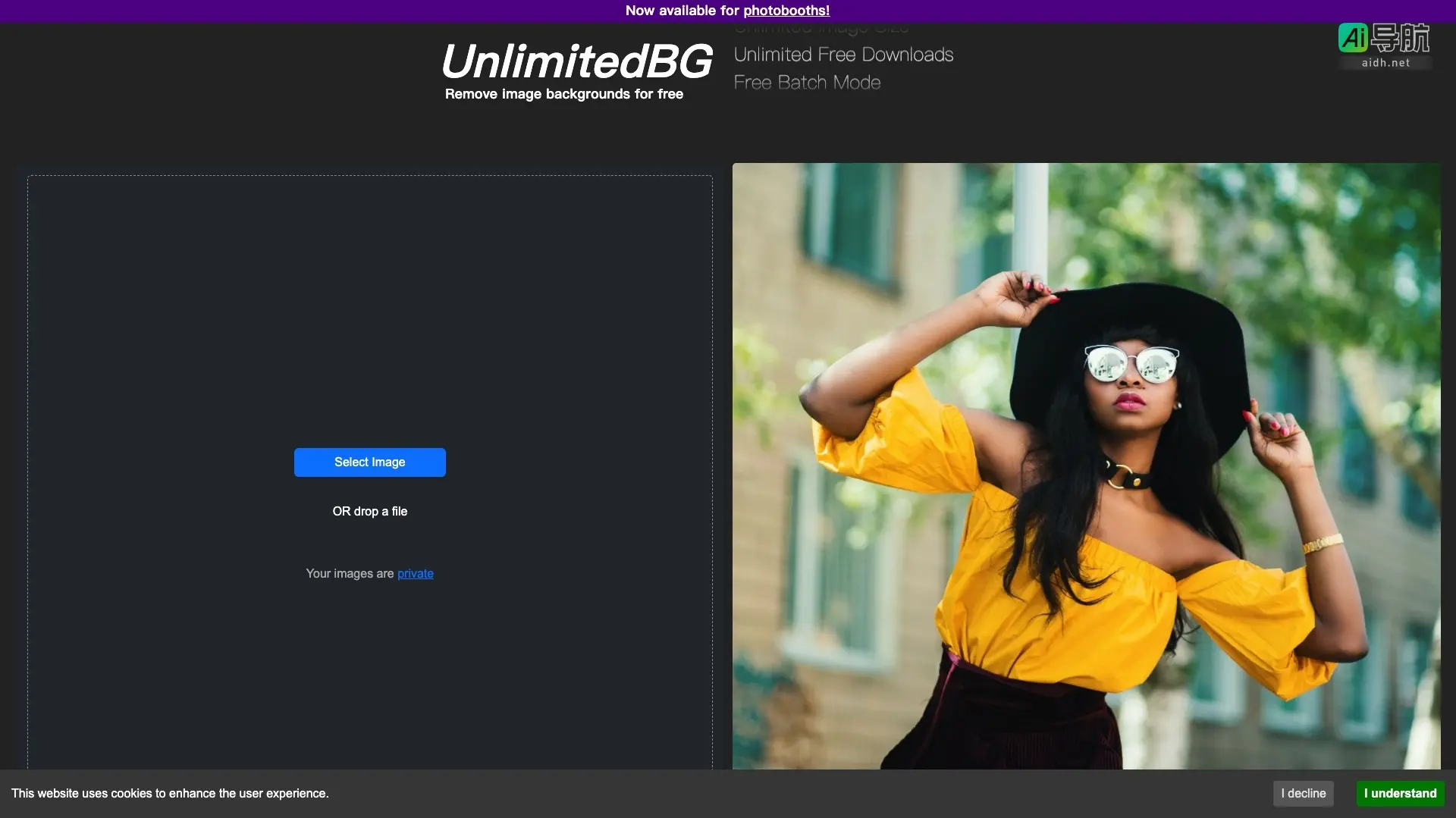 UnlimitedBG 提供免费无水印的图像背景去除服务，支持批量处理和高分辨率图像