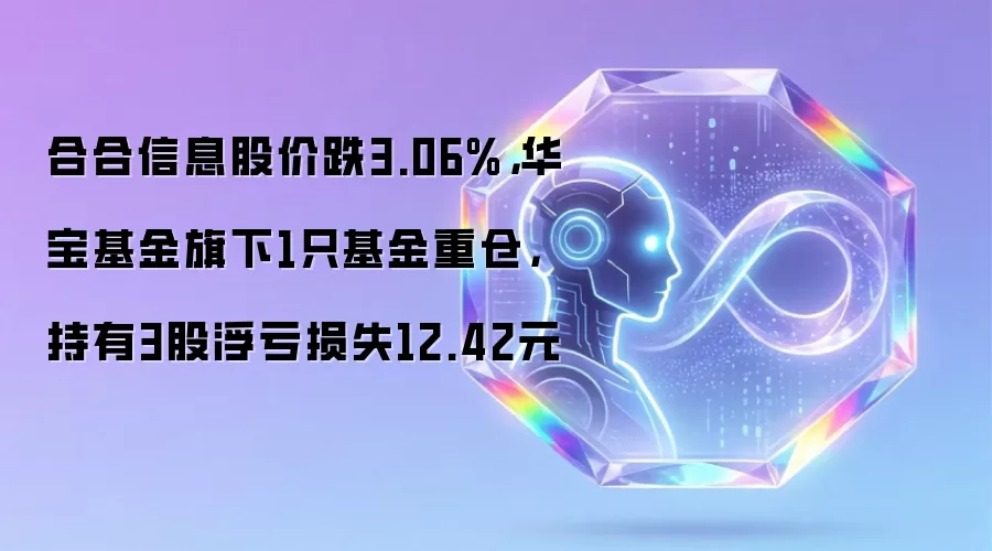 合合信息股价跌3.06%,华宝基金旗下1只基金重仓,持有3股浮亏损失12.42元