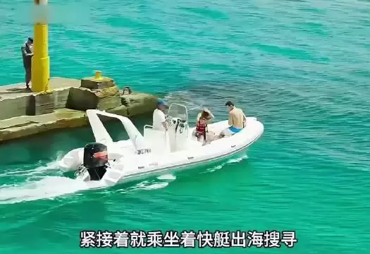人类消失后五类结局,自然重建、AI延续或全员灭绝
