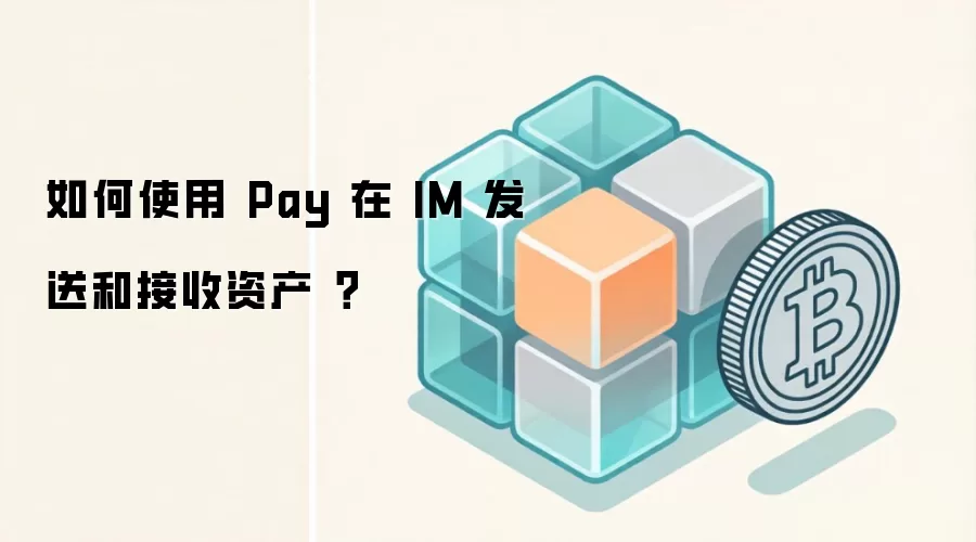 如何使用 Pay 在 IM 发送和接收资产 ?