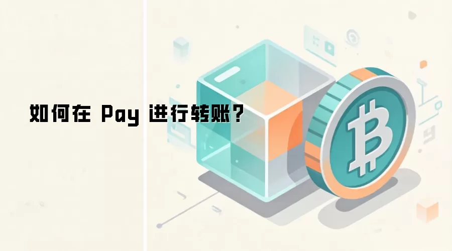 如何在 Pay 进行转账?