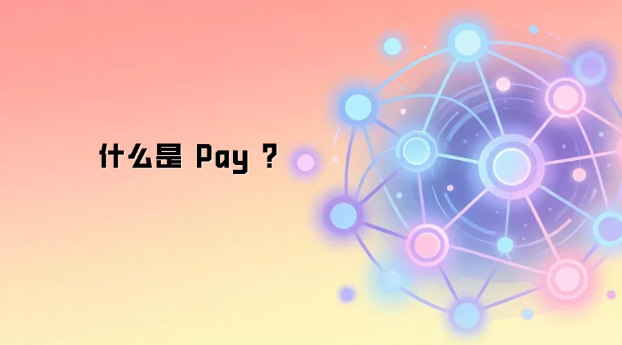 什么是 Pay ?