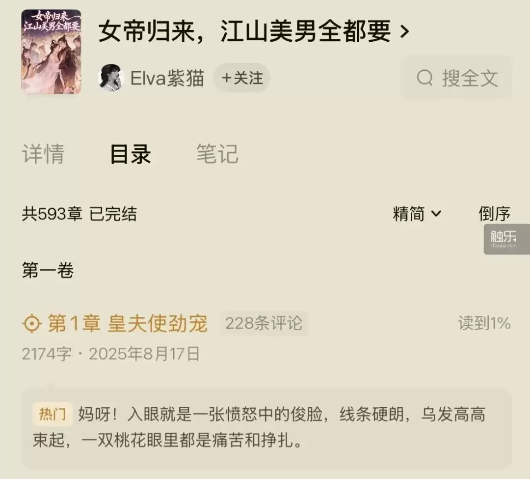 番茄小说存在部分女频后宫网文