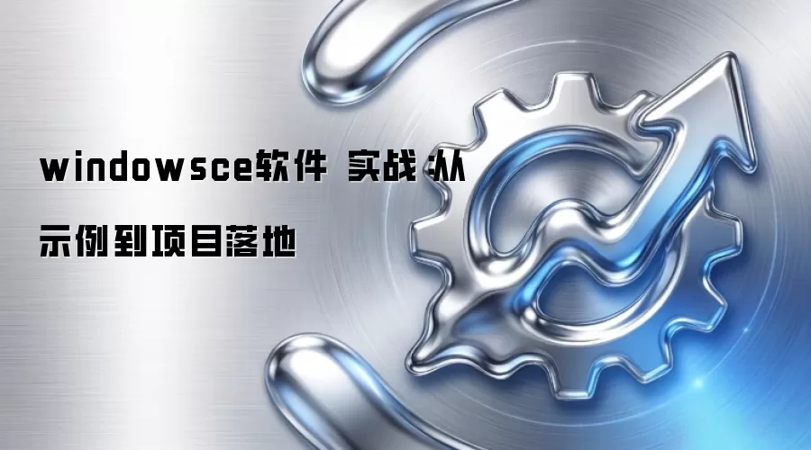 windowsce软件 实战：从示例到项目落地