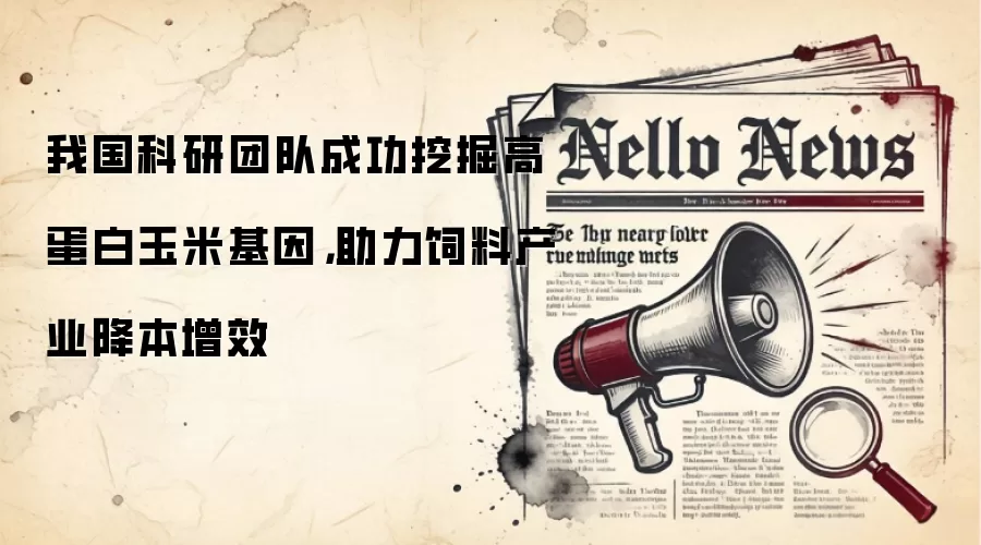 我国科研团队成功挖掘高蛋白玉米基因,助力饲料产业降本增效