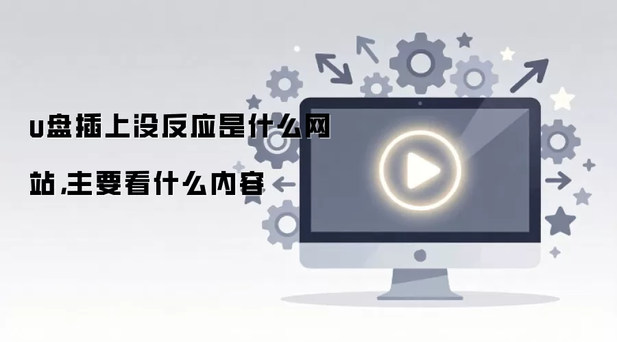 u盘插上没反应是什么网站，主要看什么内容