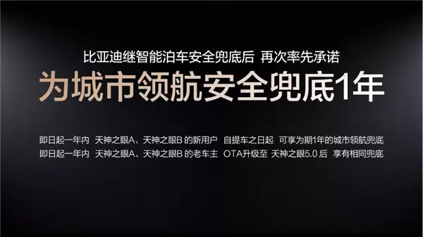 出事我全赔!比亚迪扔下这颗深水冲击波 友商们彻底睡不着了