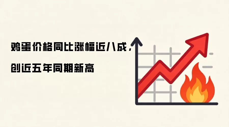 鸡蛋价格同比涨幅近八成,创近五年同期新高