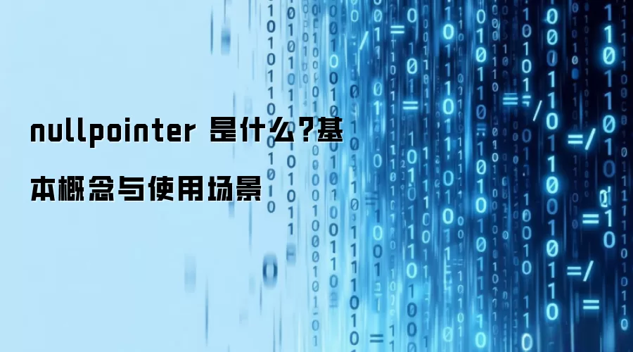 nullpointer 是什么?基本概念与使用场景