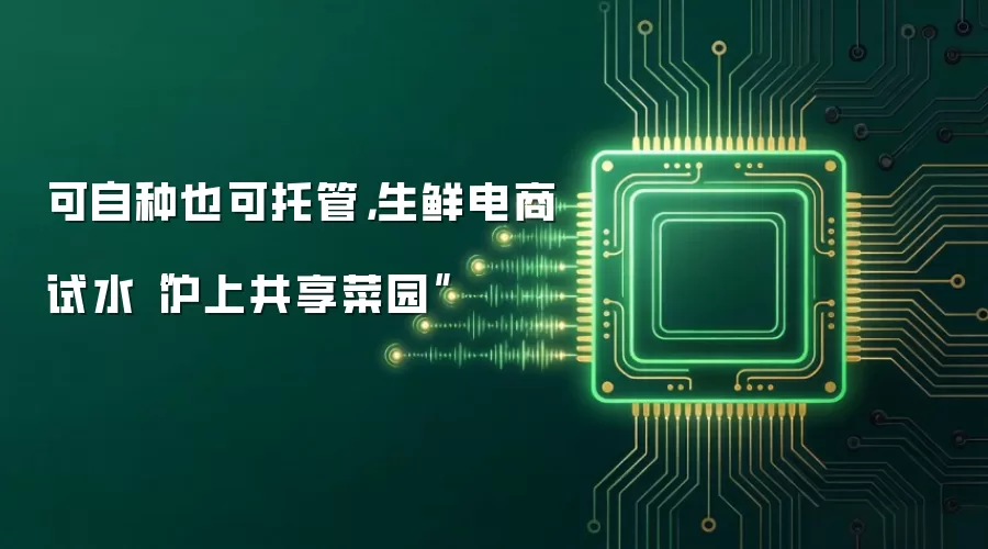 可自种也可托管，生鲜电商试水“沪上共享菜园”