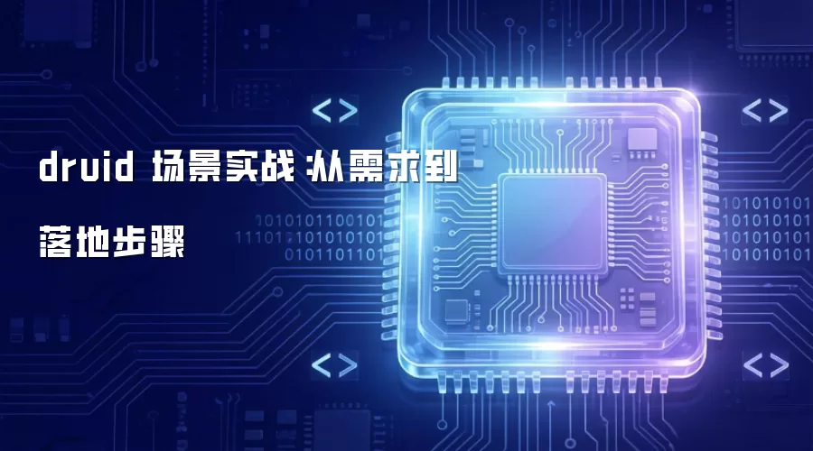 druid 场景实战:从需求到落地步骤