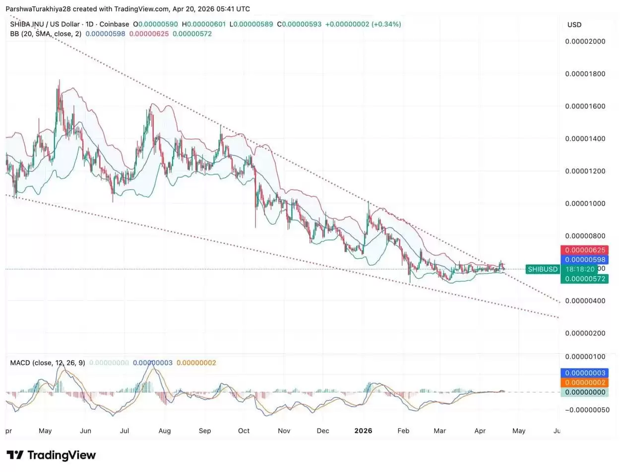SHIB 每日价格走势图，显示布林带和 MACD 金叉形态