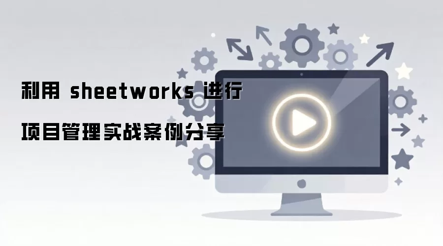 利用 sheetworks 进行项目管理实战案例分享