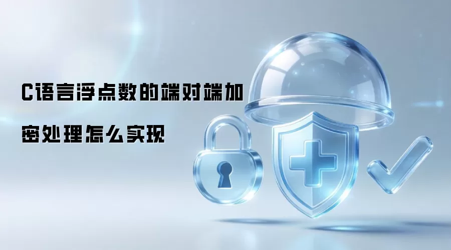 C语言浮点数的端对端加密处理怎么实现