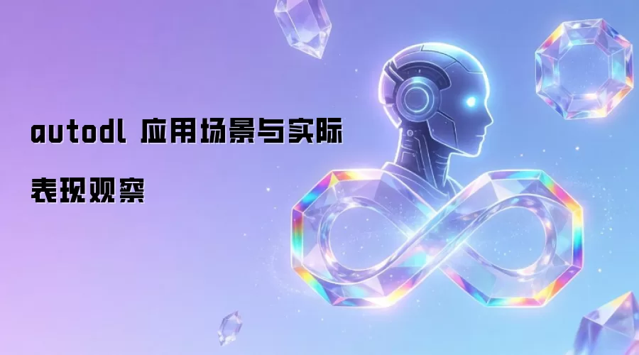 autodl 应用场景与实际表现观察