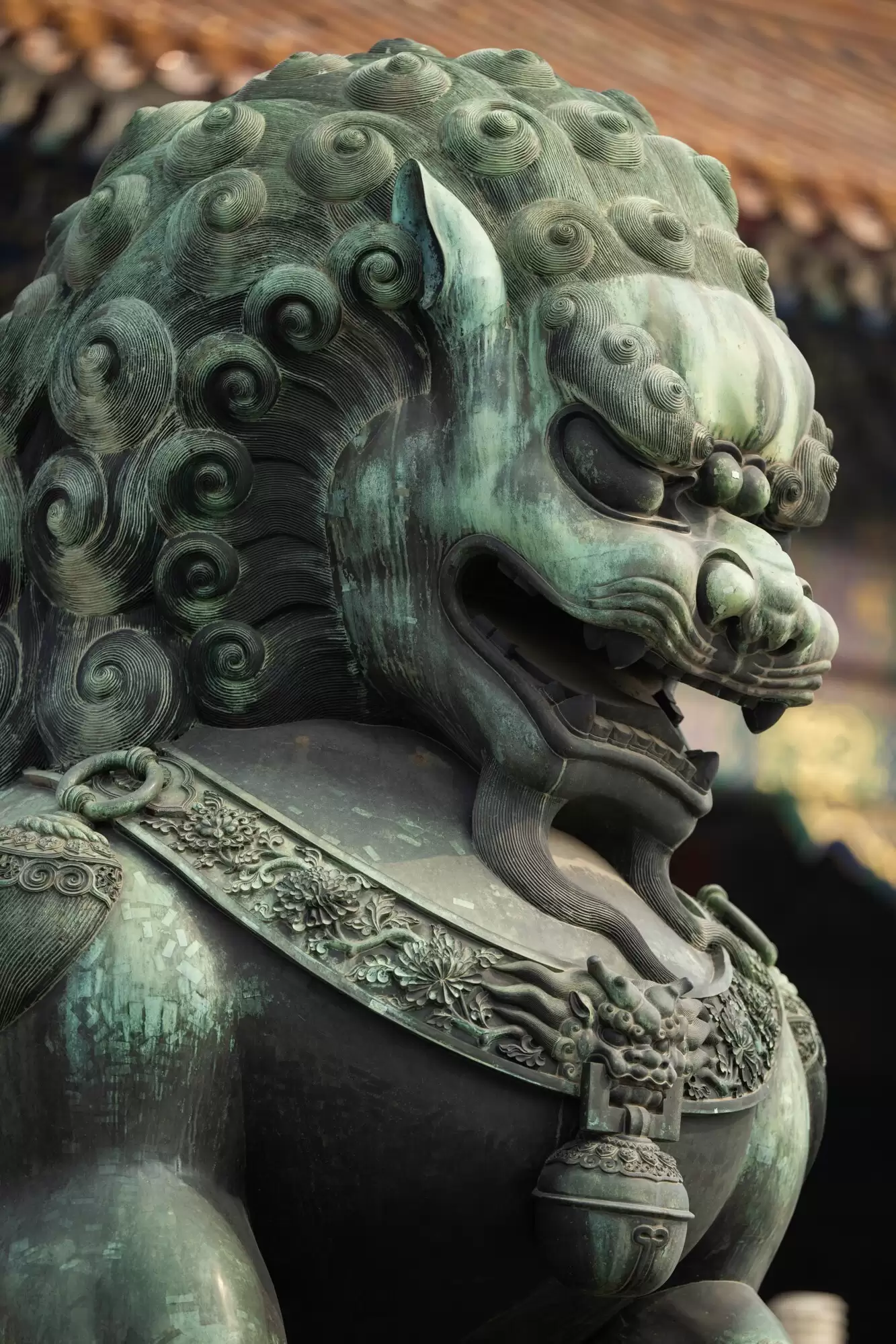 尼克尔 Z 70 - 200mm f/2.8 VR S II：人像远景头推荐评测
