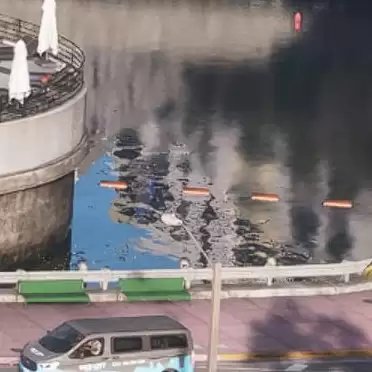 NPC竟随地小便 《GTA6》截图中隐藏的15个小细节