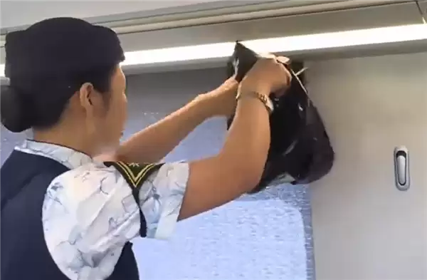 高铁行李架上惊现一条蛇！铁路部门回应：系旅客私自夹带
