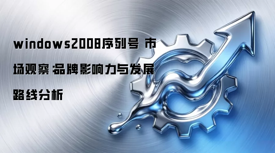 windows2008序列号 市场观察:品牌影响力与发展路线分析