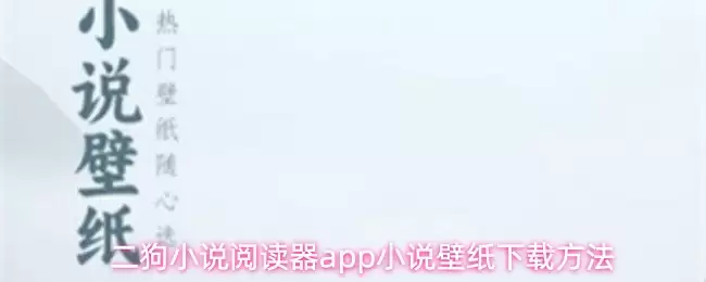 二狗小说阅读器app小说壁纸下载方法