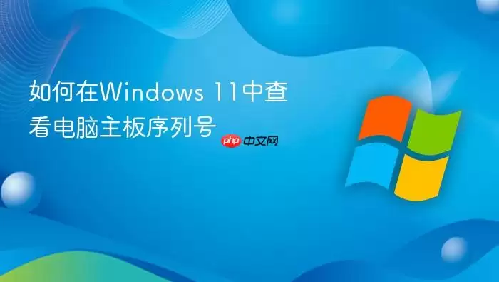 如何在windows 11中查看电脑主板序列号