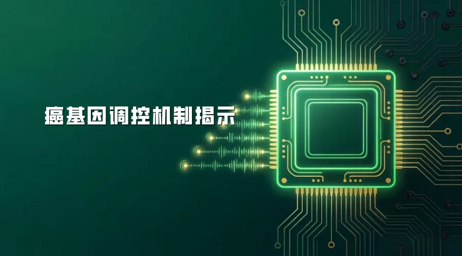 癌基因调控机制揭示