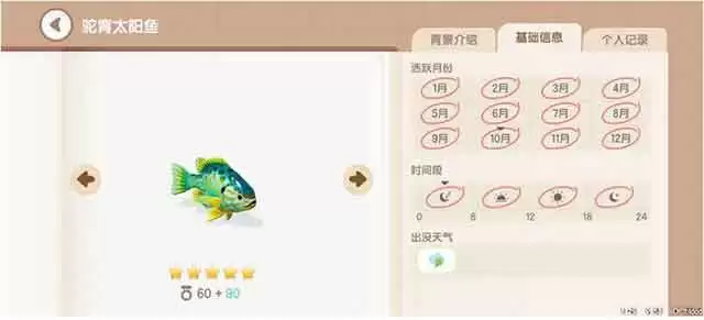 《心动小镇》驼背太阳鱼钓鱼时间地点攻略