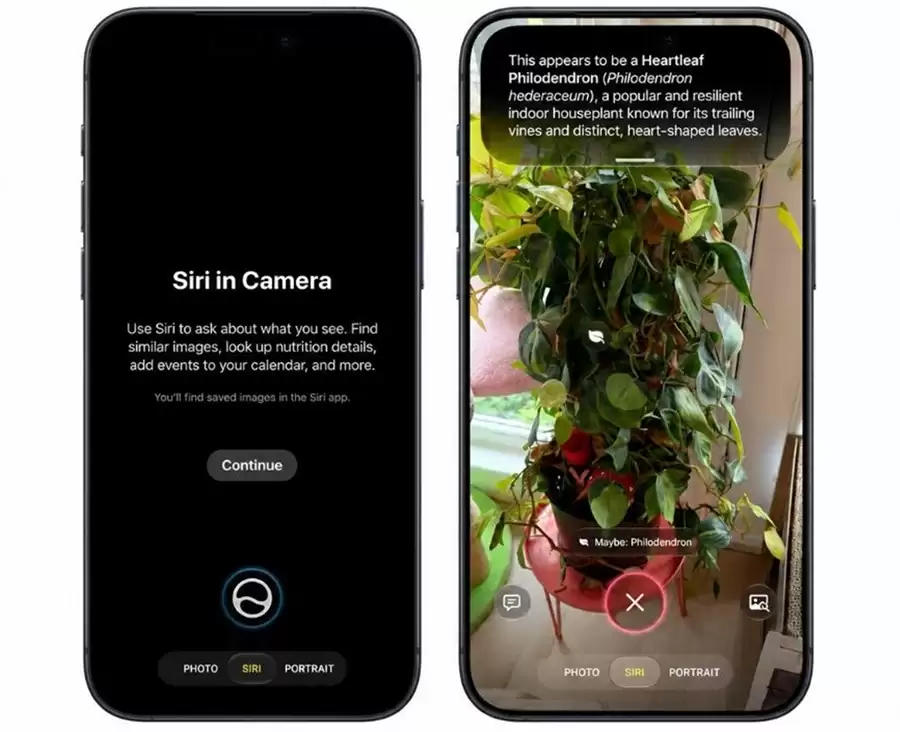 Apple 宣布 Siri AI ,功能详解汇总,国行暂不支持 Apple 宣布 Siri AI ,功能详解汇总,国行暂不支持