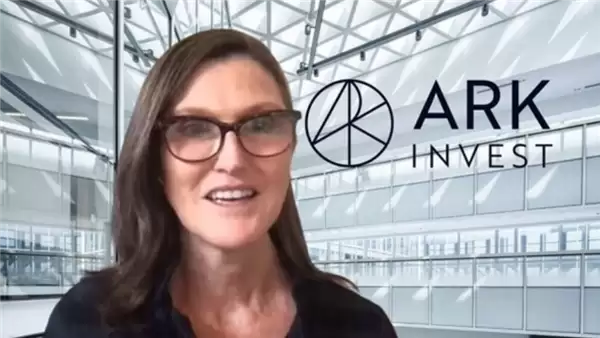 ARK CEO:三星和SK海力士是人工智能产业心脏与灵魂