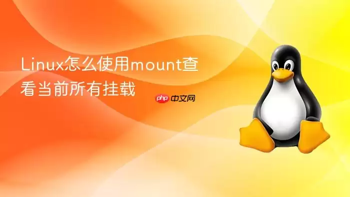 Linux怎么使用mount查看当前所有挂载