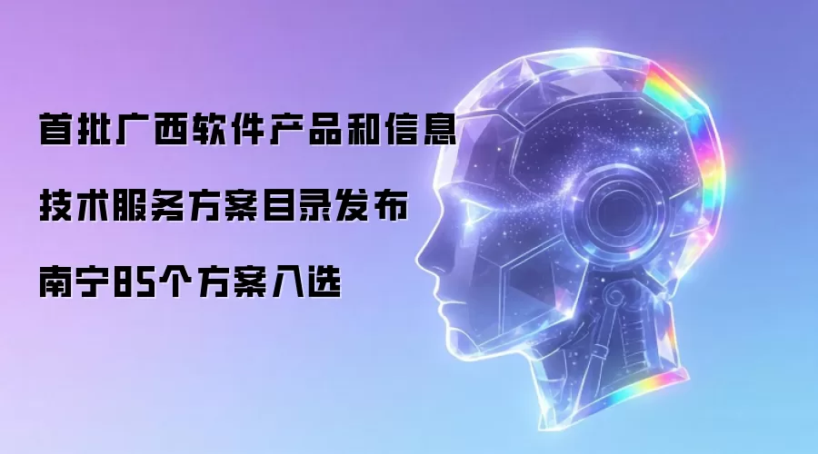 首批广西软件产品和信息技术服务方案目录发布 南宁85个方案入选
