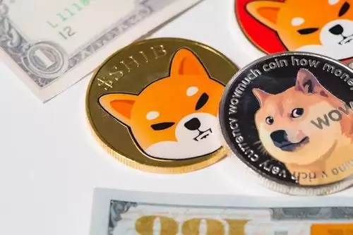 什么是柴犬币(SHIB)?怎么买?Shib未来展望及价格预测