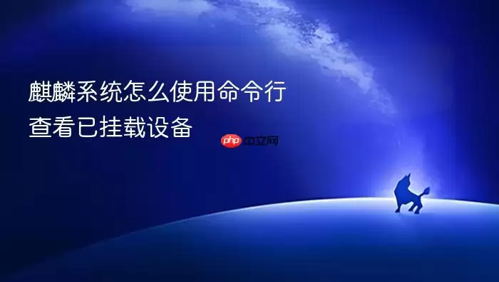 麒麟系统怎么使用命令行查看已挂载设备