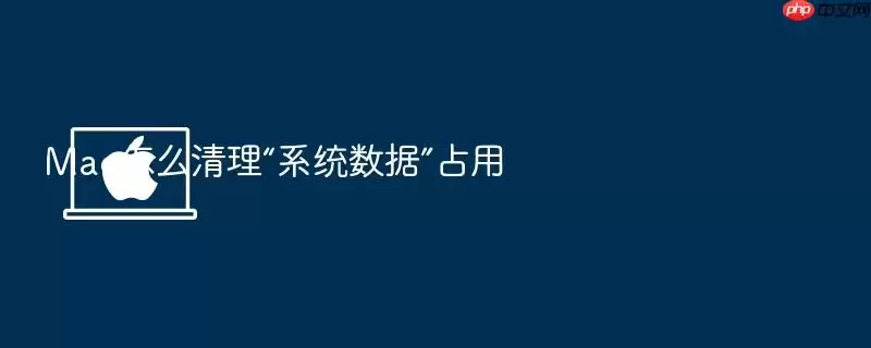 Mac怎么清理“系统数据”占用