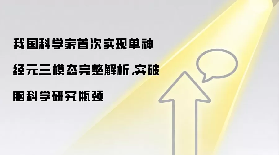 我国科学家首次实现单神经元三模态完整解析,突破脑科学研究瓶颈