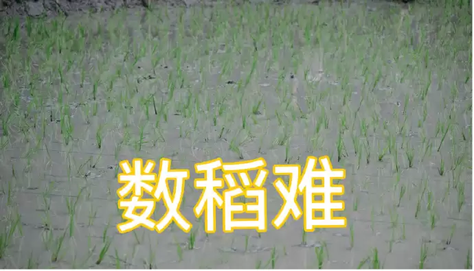 \ 1243066e-29da-4e00-815c-689311cb3342.png