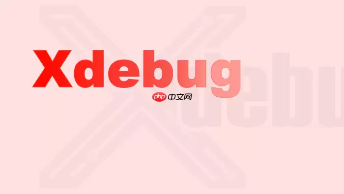 Xdebug断点命中频率过高？添加Hit Count阈值降低干扰技巧【方法】