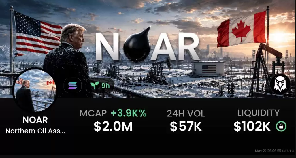 什么是北方石油资产储备(NOAR)币?它是靠谱的投资还是套路满满的骗局