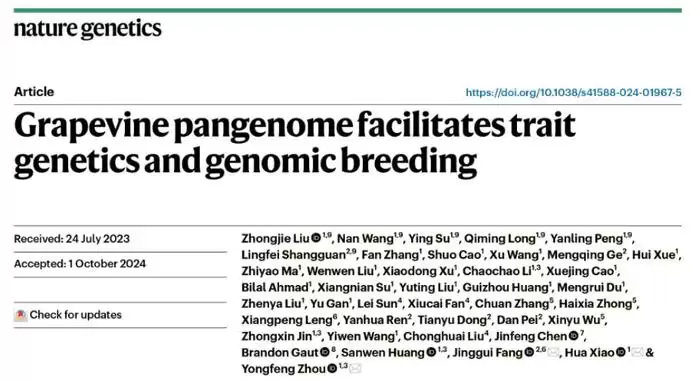 我国科学家利用人工智能加速葡萄育种,效率提高 400%