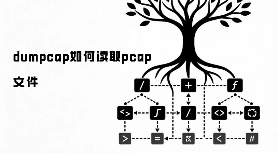 dumpcap如何读取pcap文件