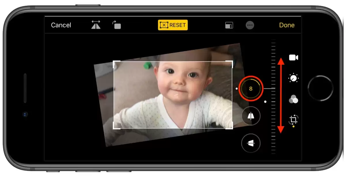 iOS 13中的视频编辑工具 iOS 13中的视频编辑工具
