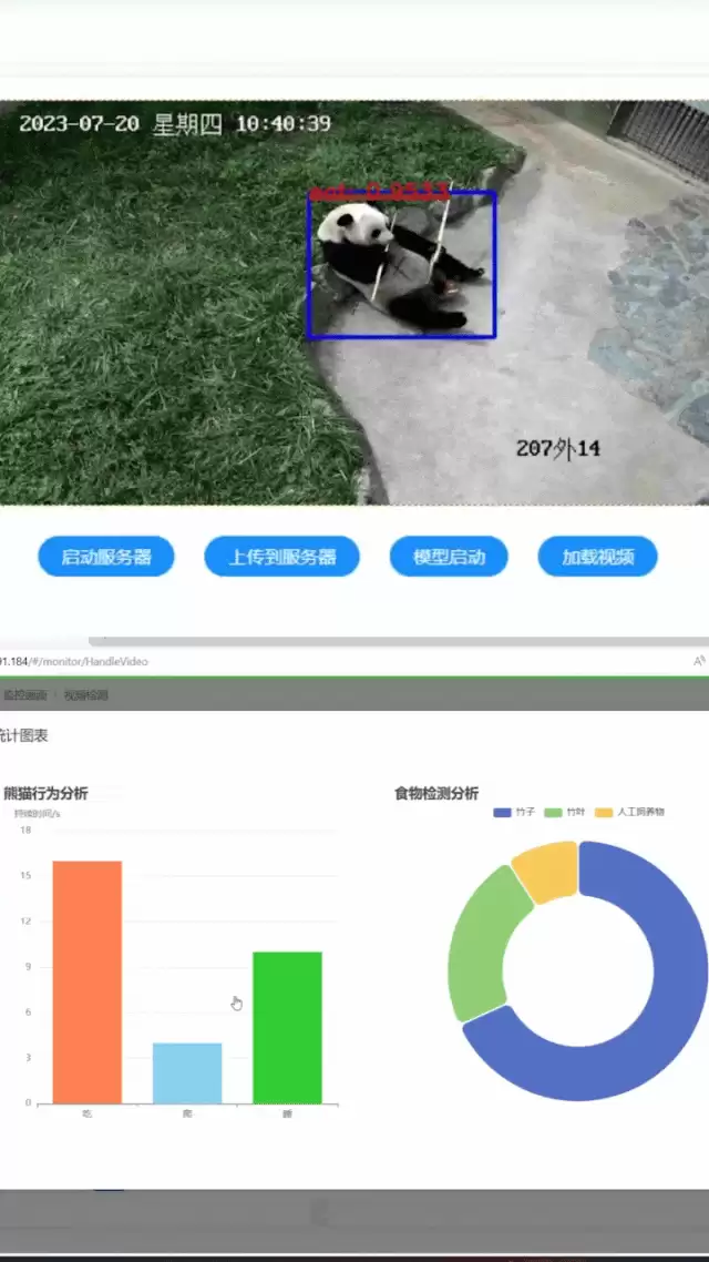 腾讯研发全球首个大熊猫模型：实时识别、统计、分析大熊猫行为并生成报告