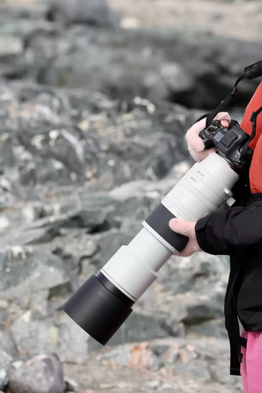 重回冰河时期:佳能EOS R5 Mark II + RF 200–800mm定格南极瞬间 重回冰河时期:佳能EOS R5 Mark II + RF 200–800mm定格南极瞬间