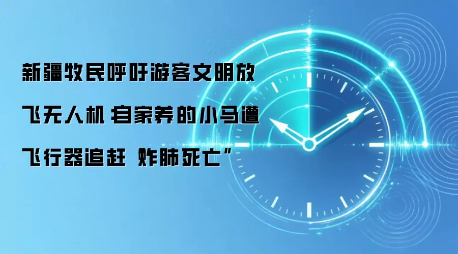 新疆牧民呼吁游客文明放飞无人机:自家养的小马遭飞行器追赶“炸肺死亡