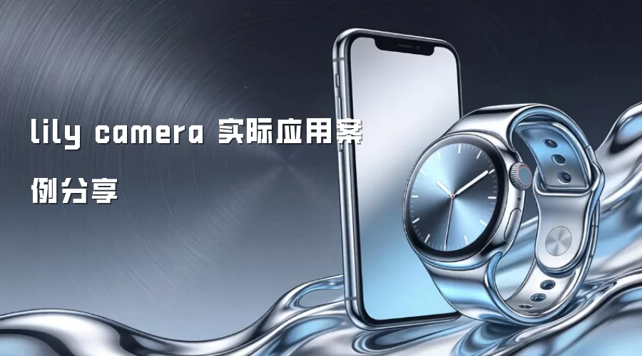 lily camera 实际应用案例分享