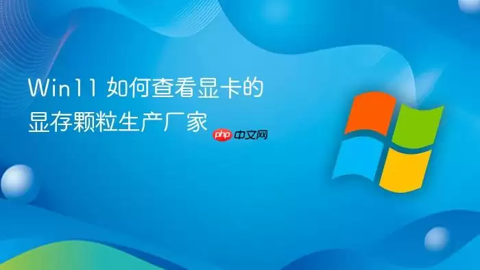 Win11 如何查看显卡的显存颗粒生产厂家