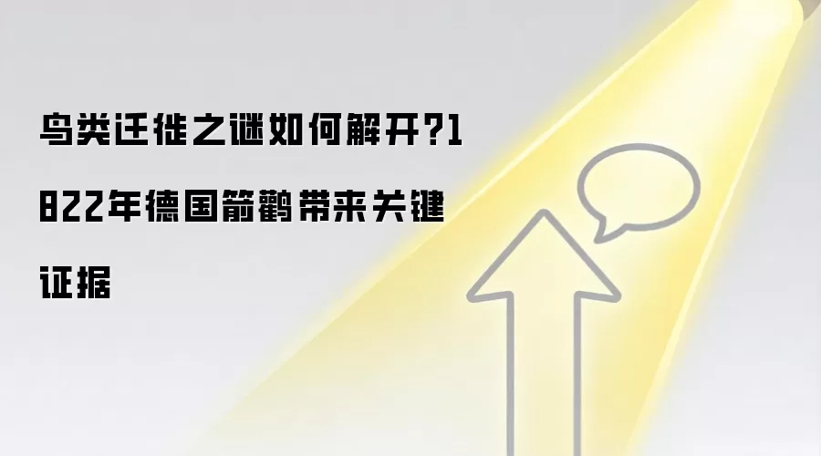 鸟类迁徙之谜如何解开?1822年德国箭鹳带来关键证据