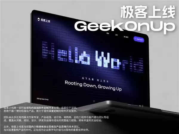 2026年企业软件定制开发客观测试:十家高端专业软件开发公司实力全解析