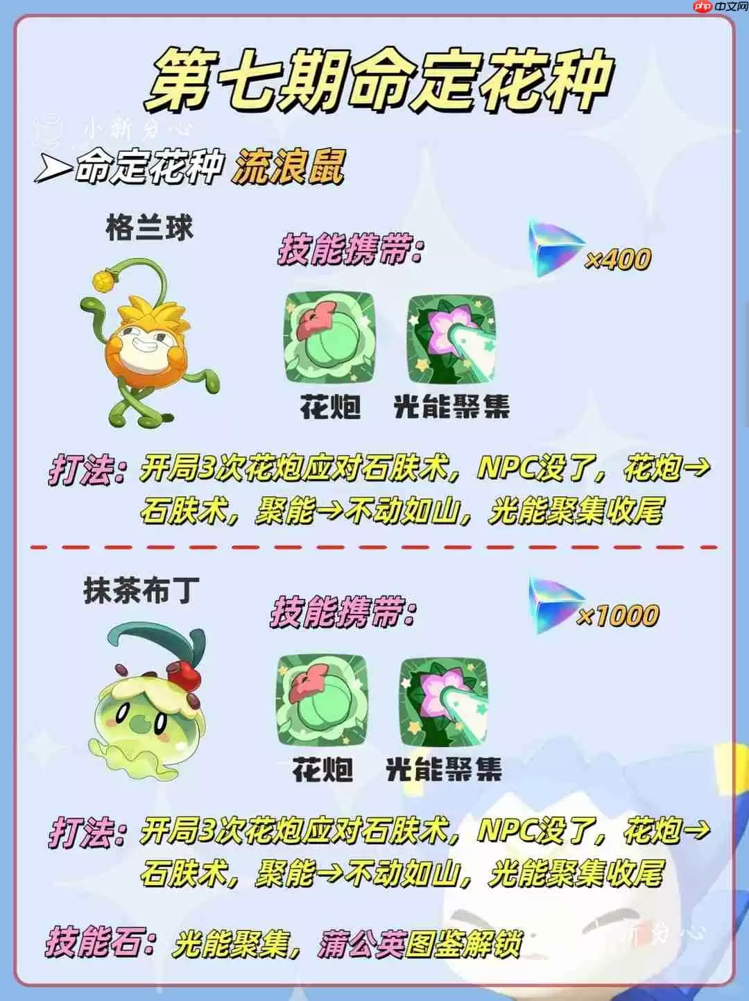 洛克王国世界命定花种第七期怎么打-命定花种幻影灵菇怖哭菇流浪鼠打法攻略