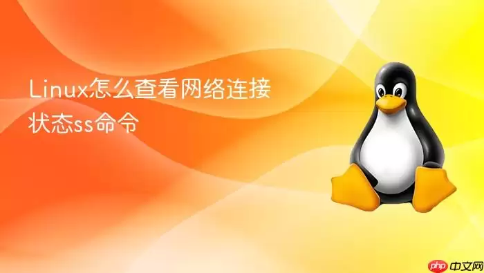 Linux怎么查看网络连接状态ss命令
